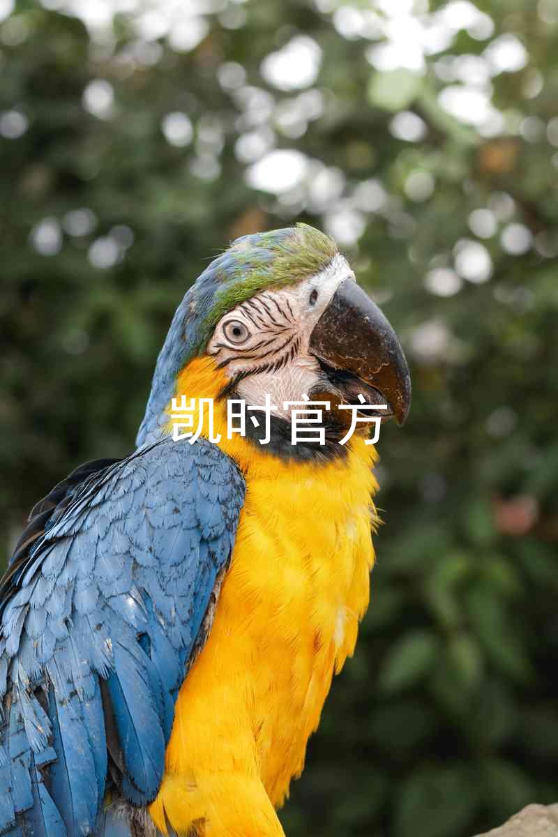 凯时官方